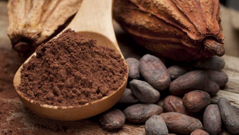 „Gemeinsam gegen Missstände im Kakaoanbau“