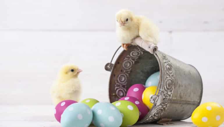 Diversifikation. – Warum Sie zu Ostern nicht alle Eier in einen Korb legen sollten!