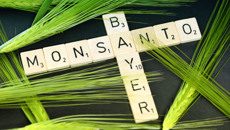 Eine Geschichte zweier Unternehmen: Bayers Biodiversitätsproblem mit Monsanto
