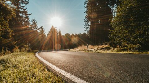 Aussicht auf Zinssenkungen und Wachstum – günstiges Umfeld für die Märkte