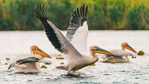 Günstige Indikatoren: Weiche Landung im Anflug?