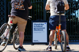 Winzer der Woche: Zinssenkungen, Government-Shutdown und Goldrallye