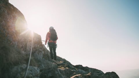 Die Suche nach Stabilität hält an – trotz steigender Aktienmärkte
