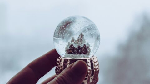 Reality-Check für den Marktausblick