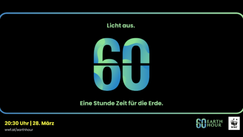 Gastbeitrag: 20 Jahre WWF Earth Hour