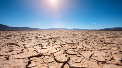 Wenn Wasser fehlt, wird‘s teuer: Dürre als finanzielles Risiko