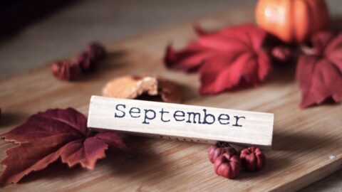 Der September-Effekt: Warum der Herbst an der Börse einen schlechten Ruf hat